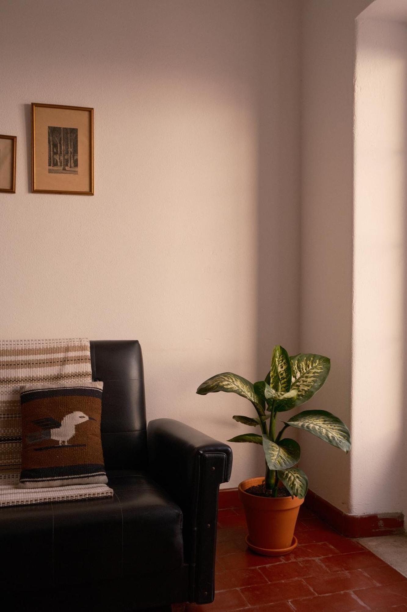 Manas Coliving Apartment Sines Ngoại thất bức ảnh